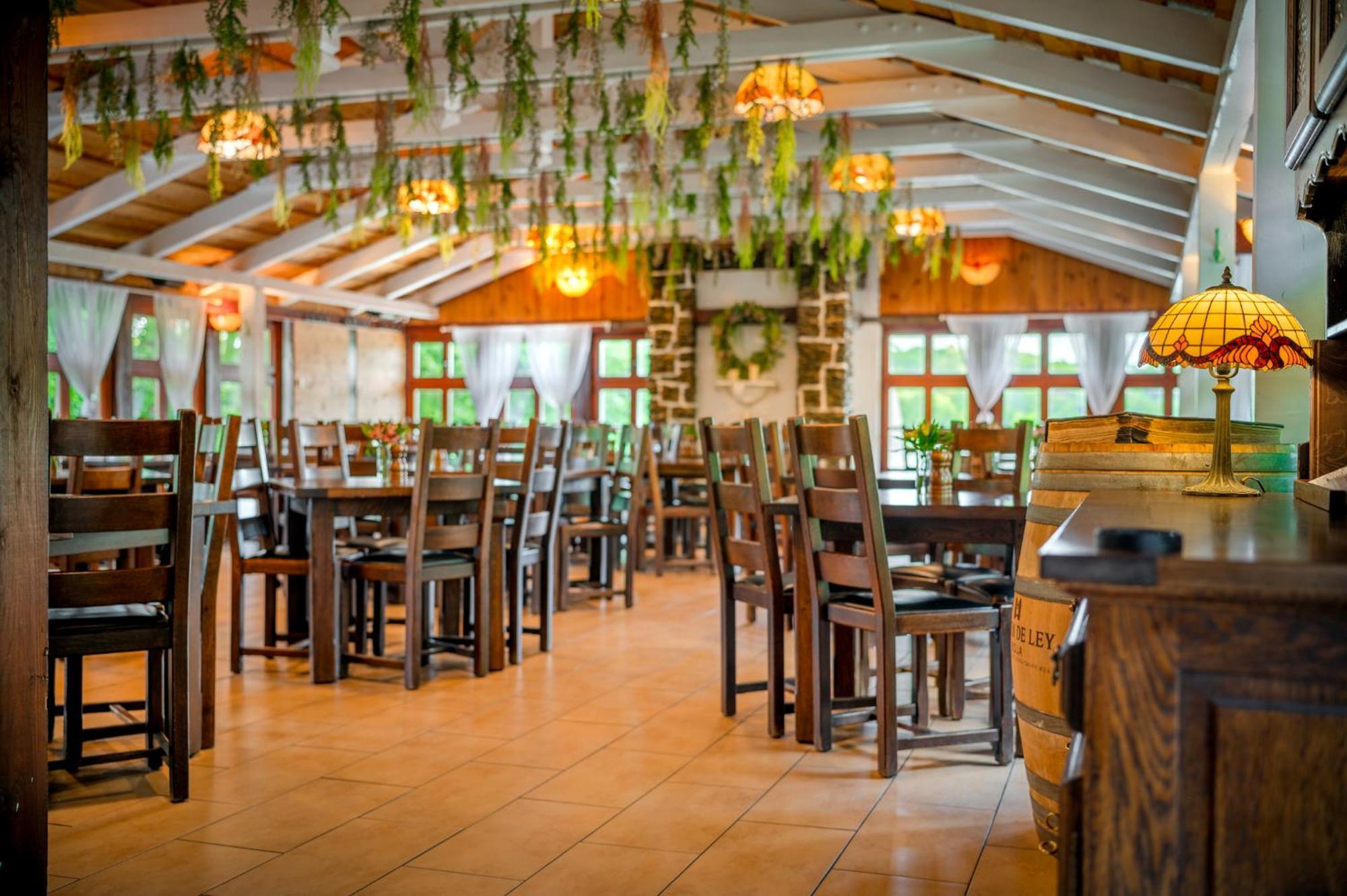 Hotel Dworek Wapionka Górzno Εξωτερικό φωτογραφία